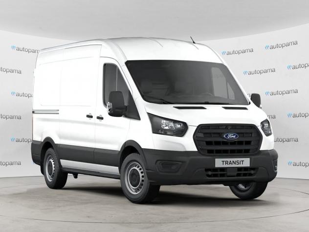 Ford Transit Van 350 2.0 EcoBl. 130 CV PM-TM Trend