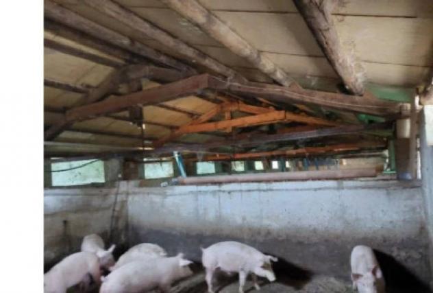 Immobile in asta di 951 m² in vendita a Vicoforte - Foto 17