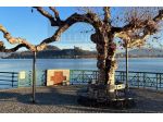 Appartamento - Arona . Rif.: AR230m
