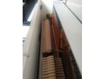 Pianoforte Schimmel C 116 silent originale con trasporto e panca