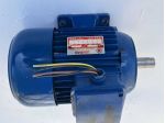 BINELLO Motore Asincrono Trifase 2 HP 2.800 giri