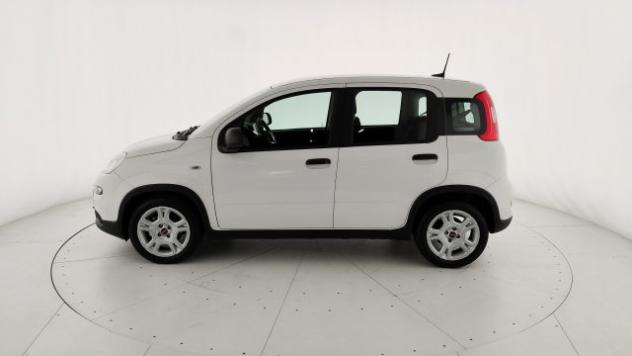 FIAT Panda 1.0 FireFly S&S Hybrid rif. 24094866 - Foto 4