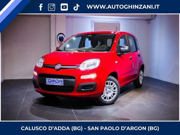 FIAT Panda Panda 1.0 FireFly S&S Hybrid Icon - "PREZZO VERO"