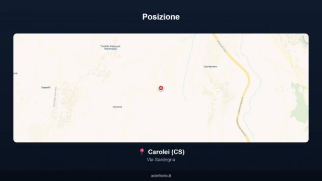 Immobile in asta di 393 m², box auto in vendita a Carolei - Foto 17