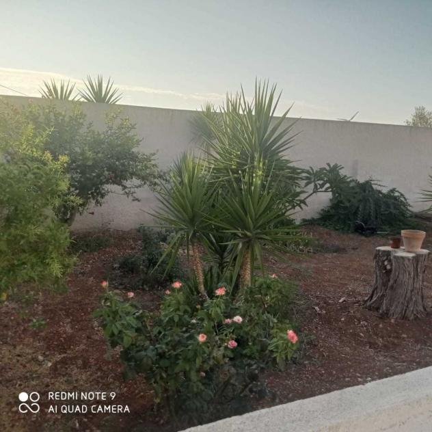 Villa in vendita a Mazara del Vallo - Foto 3