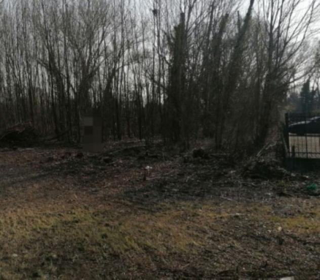Immobile in asta di 54470 m² in vendita a Parma - Foto 5