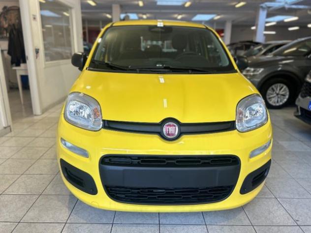 FIAT Panda 1.0 FireFly S&S Hybrid Icon rif. 23883712 - Foto 2