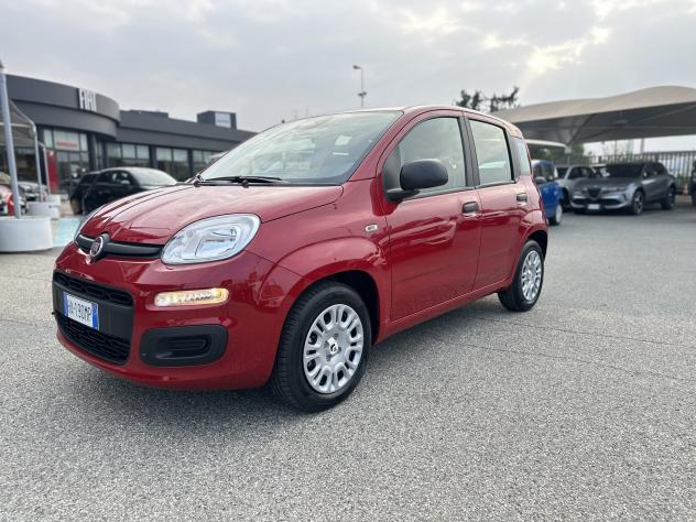 FIAT Pandina Pandina 1.0 firefly hybrid Icon s&s 70cv - Foto 3