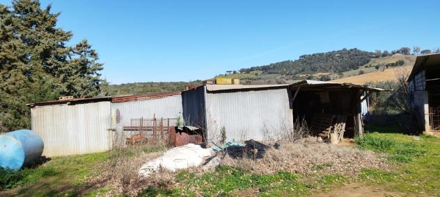 Casa singola in vendita a Cupi - Magliano in Toscana 250 mq Rif: 1245233 - Foto 5