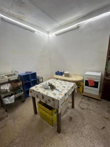 1 Vetrina in vendita a Bari - Foto 8