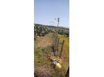 Terreno in vendita a Caltagirone