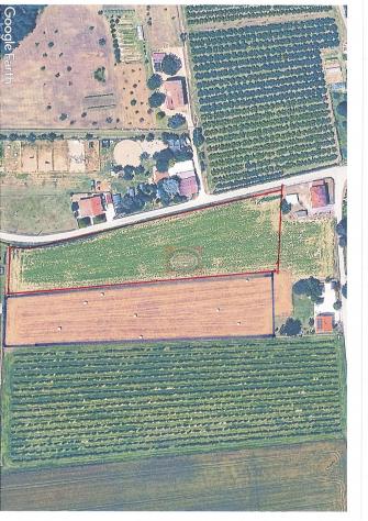 CESENA -San Martino in fiume (TAC46) Vendita di terreno agricolo