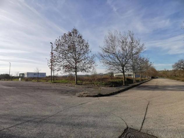 Immobile in asta di 7547 m² in vendita a Corinaldo - Foto 2