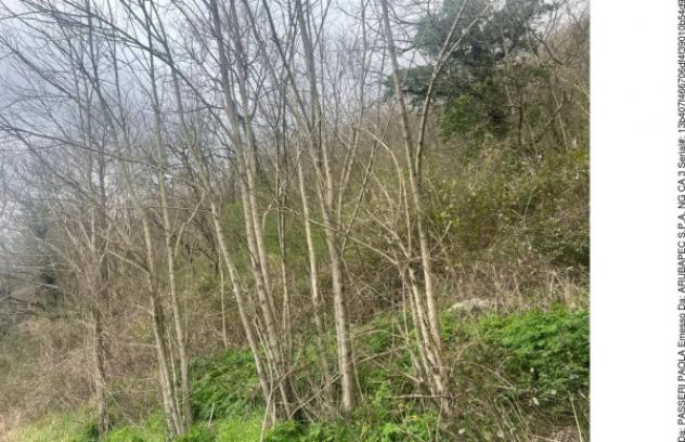 Immobile in asta di 9530 m² in vendita a Fiuminata - Foto 2