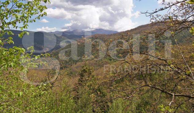 Terreno Agricolo - Montelanico . Rif.: Cod. rif 3214511VRG - Foto 3