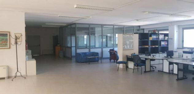 Immobile in asta di 4000 m² in vendita a Modena - Foto 10