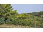 Terreno agricolo in vendita a Livorno 7000 mq  Rif: 1432066