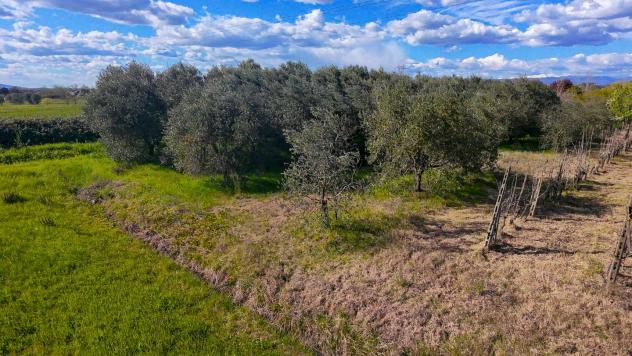 Terreno agricolo in vendita a San Miniato 10790 mq Rif: 1400261 - Foto 3