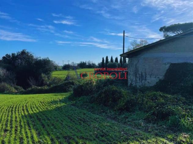 Magazzino 1 locale - Rif. 2481 - Foto 17