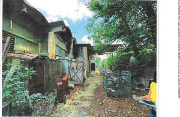 Immobile in asta di 2562 m² in vendita a Schiavon - Foto 3