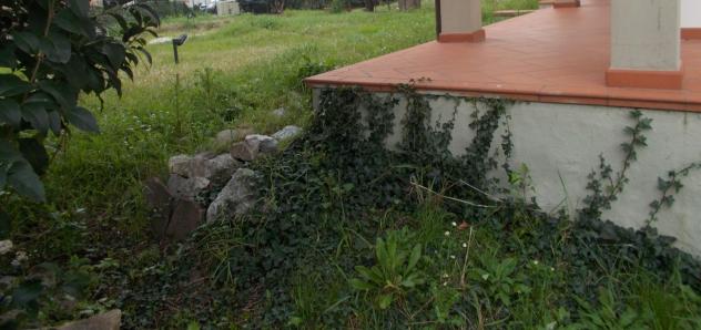 Villa in vendita a Avane - Vecchiano 160 mq Rif: 1249109 - Foto 5