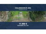 Immobile in asta di 768 m² in vendita a Calangianus
