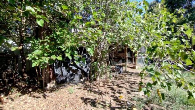 Immobile in asta di 4002 m² in vendita a Colli al Metauro - Foto 2