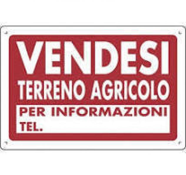 Area verde in vendita a Pietrasanta