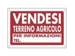 Area verde in vendita a Pietrasanta