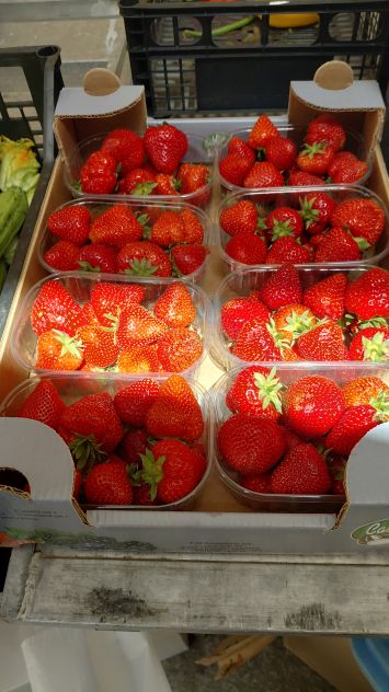 Cedesi posto mercato verduriere