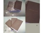 AGENDA ORGANIZER e ricarica The Bridge anno 2012