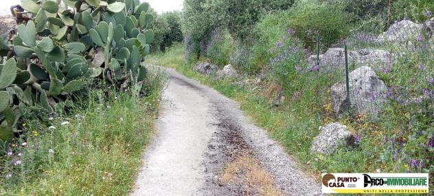 Trabia (PA) – Contrada Danigarci vendesi villetta unifamiliare - Foto 6