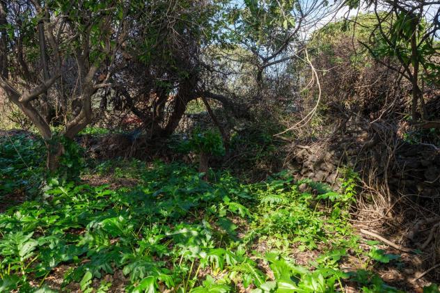 Terreno Edificabile in vendita a San Gregorio di Catania - Foto 18
