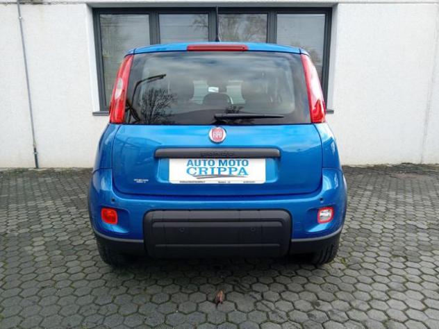 FIAT Panda 1.0 MILD HYBRID MANUALE PANDINA OK NEOPAT. KM ZERO rif. 23681683 - Foto 6