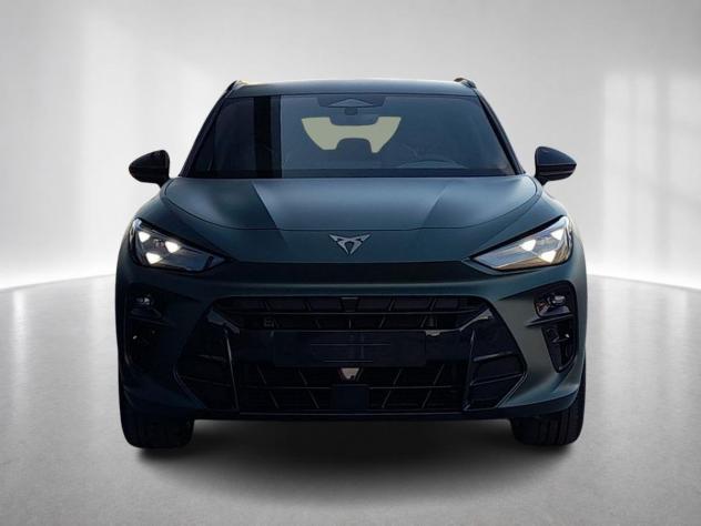 CUPRA Terramar Terramar Tribe Edition 2.0 TSI DSG 4DRIVE 204 CV - Foto 8