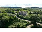 Azienda Agricola in vendita a Allerona