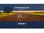 Immobile in asta di 42841 m² in vendita a Conversano