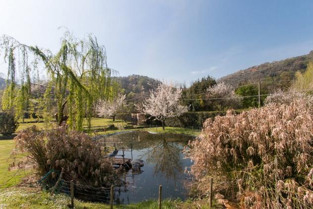 Rustico in vendita a Valdicastello Carducci - Pietrasanta Rif: 692177 - Foto 10