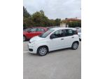 FIAT - Panda - 1.0 FireFly S&S Hybrid Easy