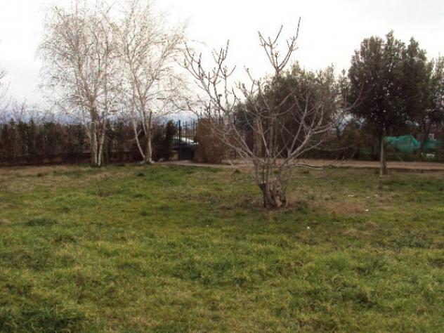 Immobile in asta di 170 m² in vendita a Montefalco - Foto 12