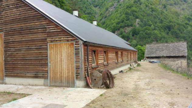 Stalla, Caseificio e, volendo una casa in Ossola VB - Foto 9