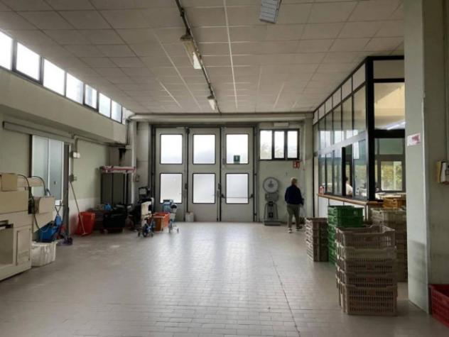 Immobile in asta di 1071 m² in vendita a Serravalle Sesia - Foto 11