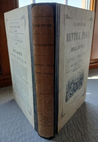 RETTILI, PESCI E ANIMALI ARTICOLATI, Ed. F.lli Treves 1891. - Foto 4