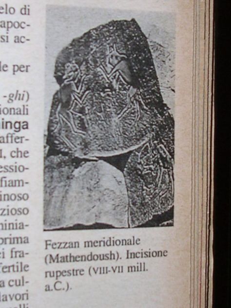 ENCICLOPEDIA ZANICHELLI - Foto 8