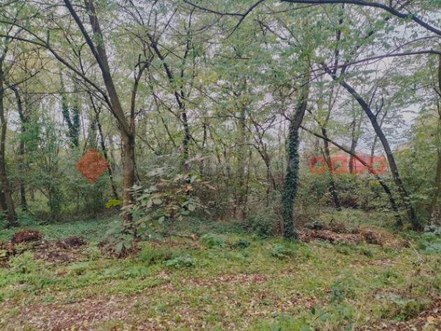 Terreno di 1200 m² in vendita a Cressa - Foto 9
