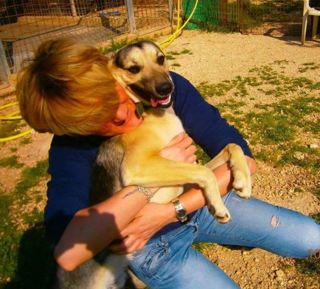 PLUTO in cerca di casa - Foto 4