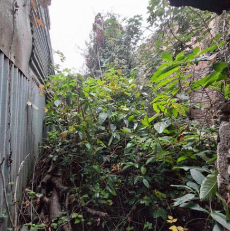Immobile in asta di 126 m² in vendita a Fiscaglia - Foto 9