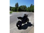 Speed triple 955i