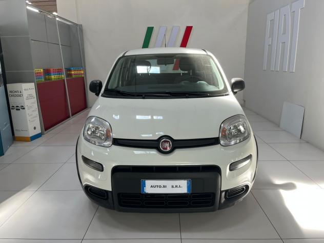FIAT Panda 1.0 FireFly 70cv S&S Hybrid - Foto 2
