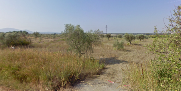Annesso agricolo in vendita a Grosseto 80000 mq Rif: 1397047